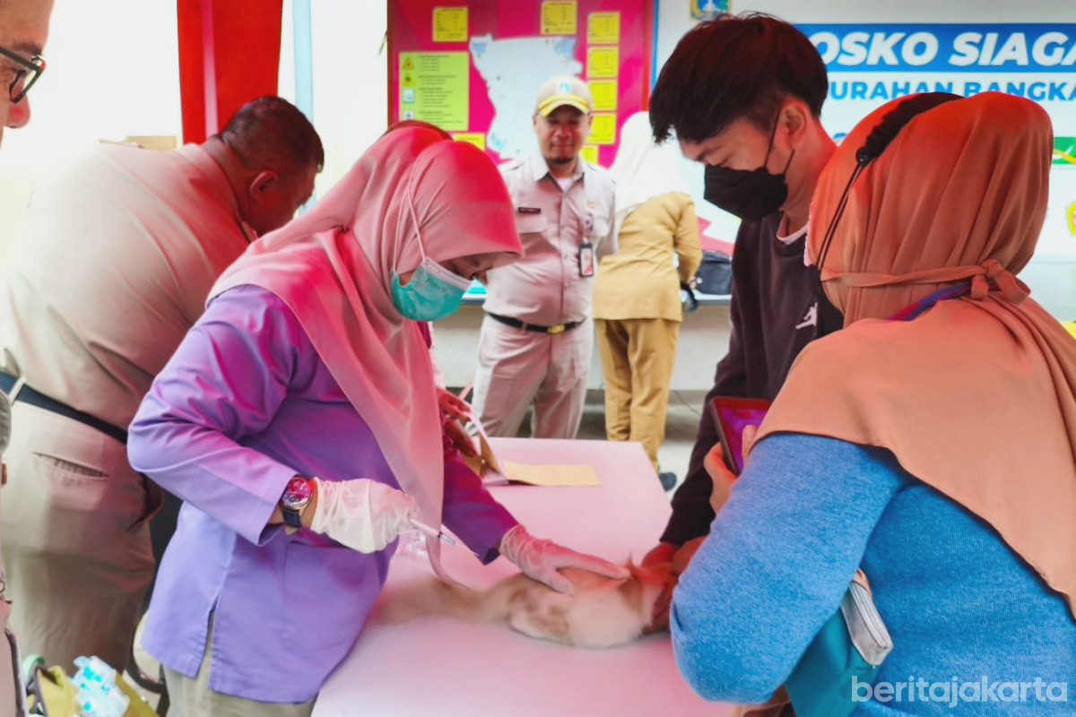  98 HPR di Kelurahan Bangka Sudah Divaksinasi Rabies Gratis 