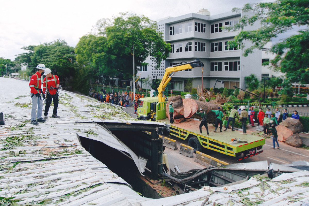 MRT Jakarta Pulihkan Layanan Setelah Gangguan Operasional Terdampak Pohon Tumbang 