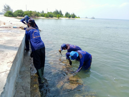 Rusak, Kawat Bronjong Penahan Tanggul di Pulau Lancang Diperbaiki 