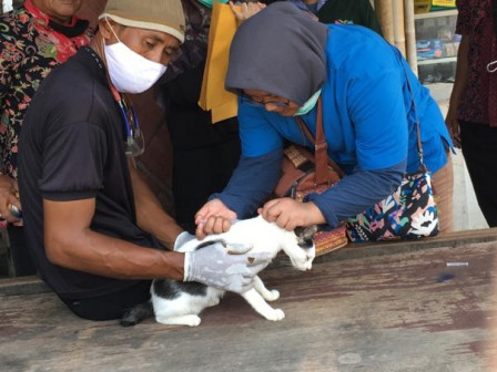 290 HPR di Tiga Pulau Diberikan Vaksinasi Gratis