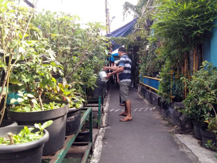 Sudin KPKP Jakpus Bakal Tambah 35 Lokasi Gang Hijau