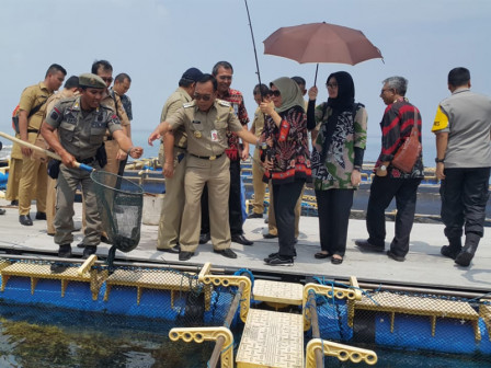 Nelayan Kepulauan Seribu Diminta Lebih Mengembangkan Budidaya Ikan