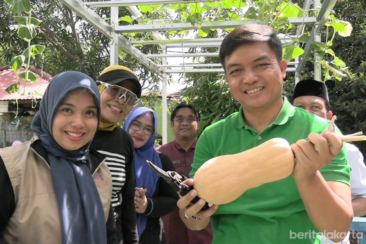 Urban Farming RPTRA Kalojodo Panen Pakcoy dan Labu Madu 
