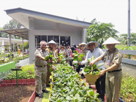 24 Kilogram Sayuran dan Buah Dipanen di RPTRA Cilandak KKO