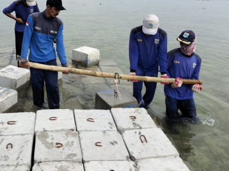  250 Meter Kubus Masif Dipasang di Pulau Lancang 