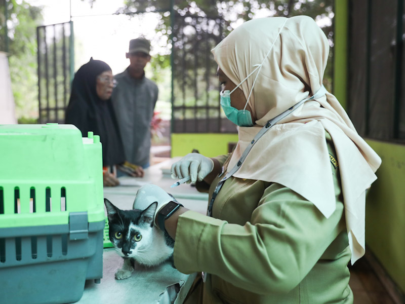  22 HPR Divaksin Rabies Gratis di AEW Ragunan 