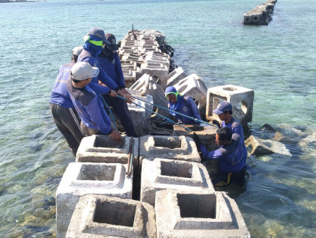 Perbaikan Tanggul Sisi Utara Pulau Panggang Rampung Pekan Depan