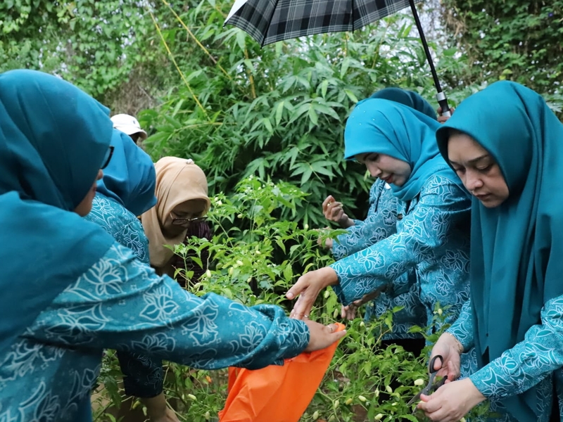 Verlap Lomba PKK di Kecamatan Pesanggrahan Berjalan Optimal