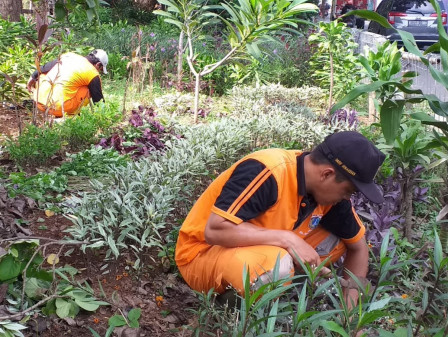 PPSU Bersihkan Taman UPK Jalan Kembangan Baru Raya