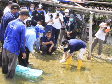 Sudin KPKP Kepulauan Seribu Lepaskan 150 Ikan Nemo di Perairan Pulau Untung Jawa
