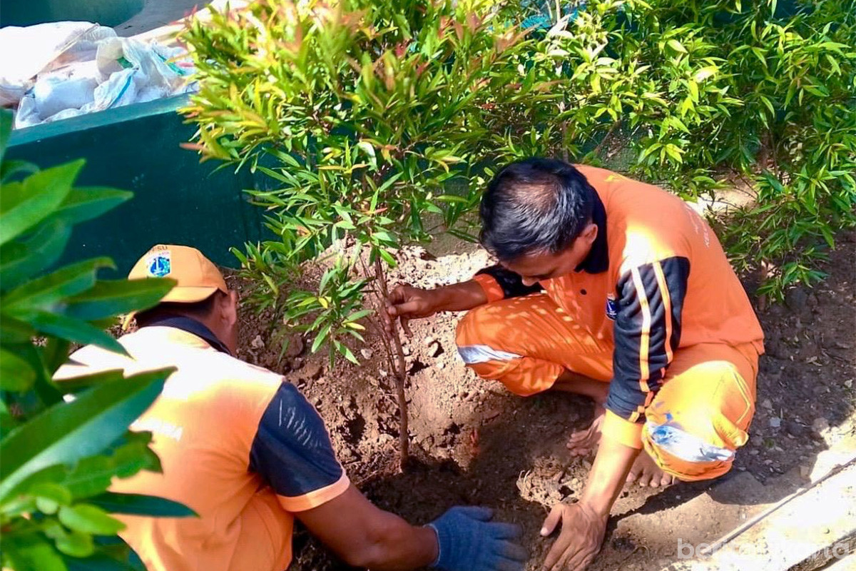 Penataan Kawasan di Pulau Untung Jawa