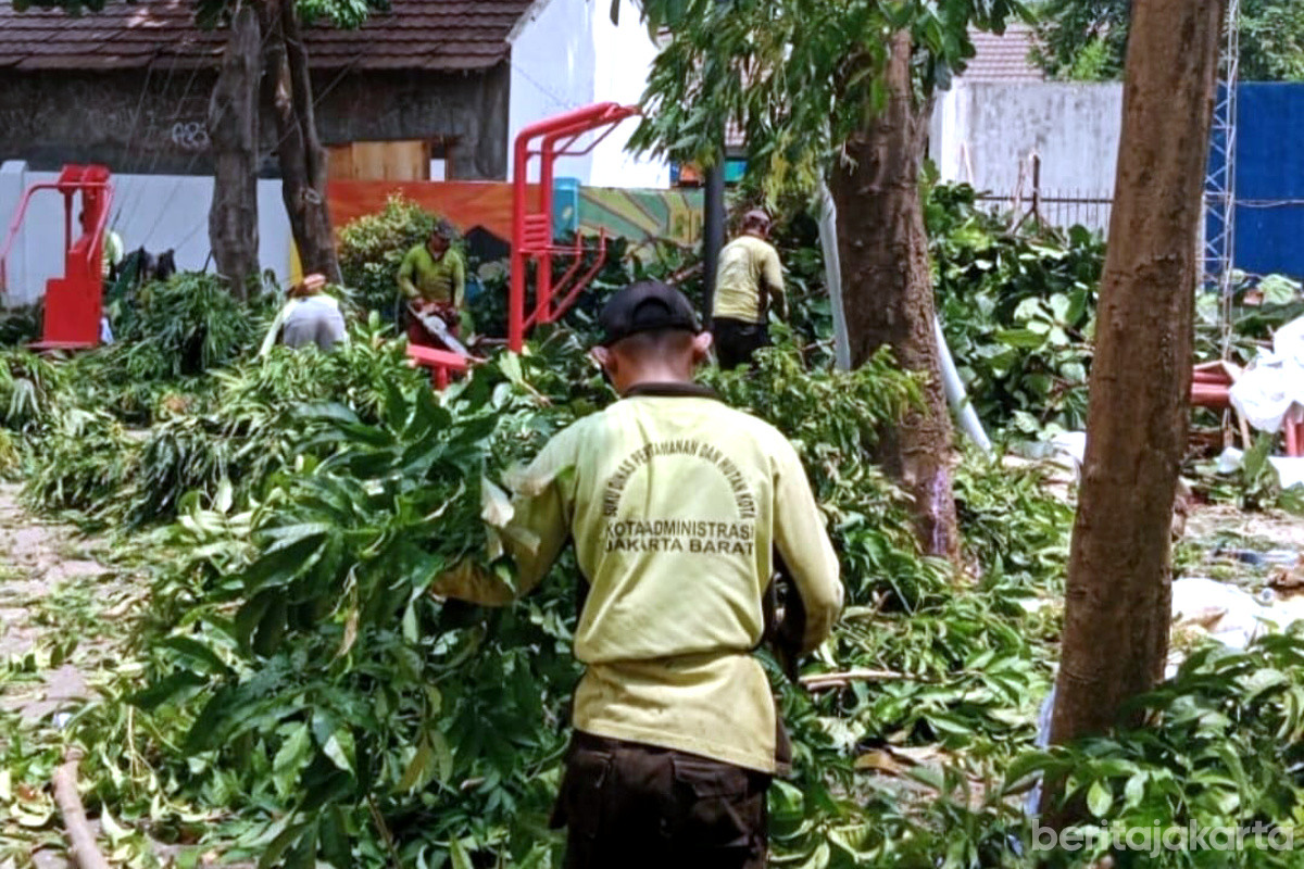 https://multimedia.beritajakarta.id/photo/2014_508c75c8507a2ae5223dfd2faeb98122/Sejumlah petugas melakukan pemangkasan dahan pohon yang rawan tumbang