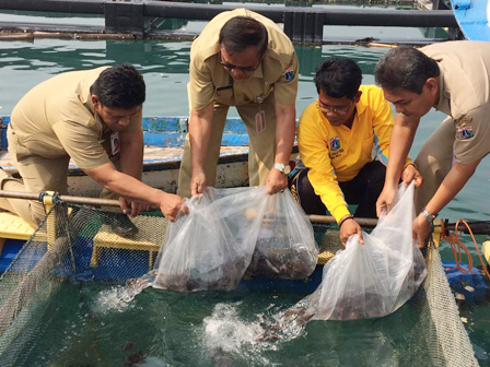 Pemprov DKI Salurkan 5.000 Benih Ikan ke Pembudidaya Keramba Jaring Apung