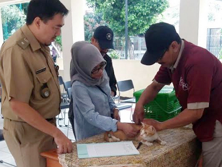 Sudin KPKP Jaksel Vaksin 60 Hewan di Cipete Utara