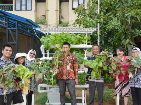  Dinas KPKP DKI Lakukan Pembinaan Pengembangan Pertanian Perkotaan di Rusun Marunda 