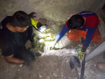 Ular Sanca Sepanjang 4 Meter Berhasil Dievakuasi Petugas