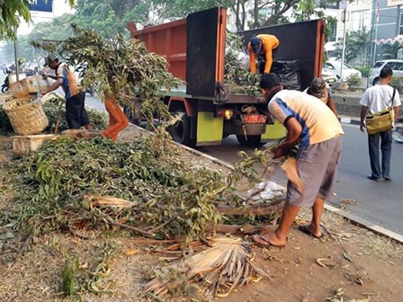 Satu Truk Sampah Diangkut Dari Jalan Hybrida Raya