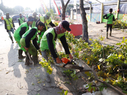 5.351 Pohon Rawan Tumbang di Jakbar Telah Ditoping 