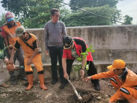  10 Pohon Produktif Ditanam di Bantaran Kali Pademangan Timur 