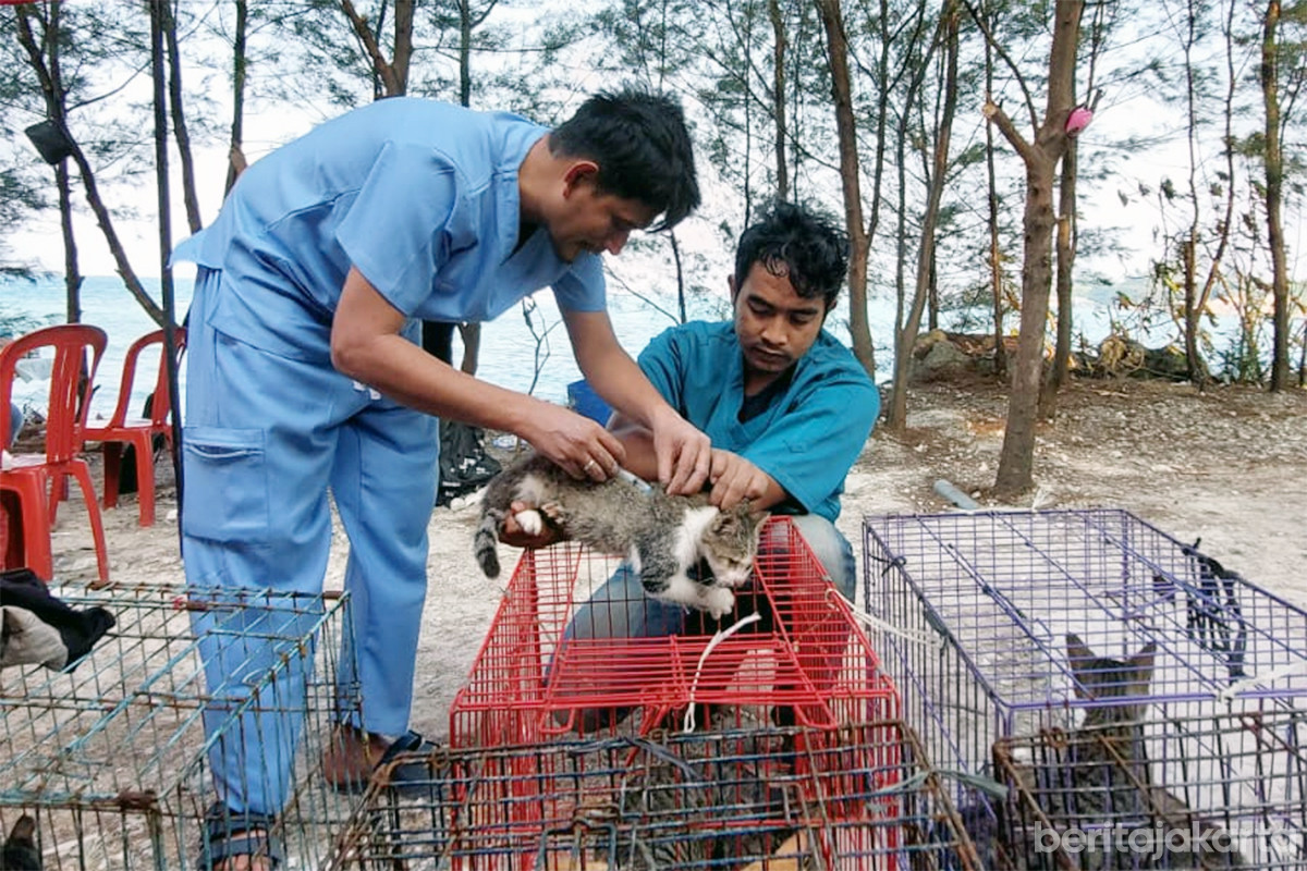 Layanan vaksinasi HPR di Kepulauan Seribu