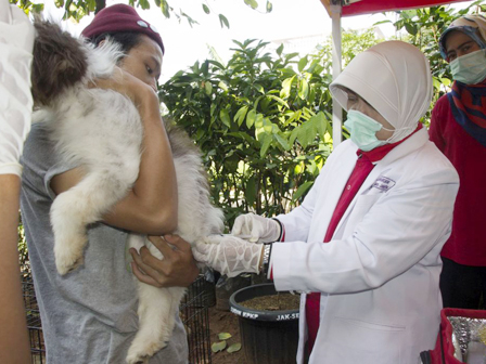 Ayo Manfaatkan Layanan Vaksinasi Gratis Hewan Penular Rabies