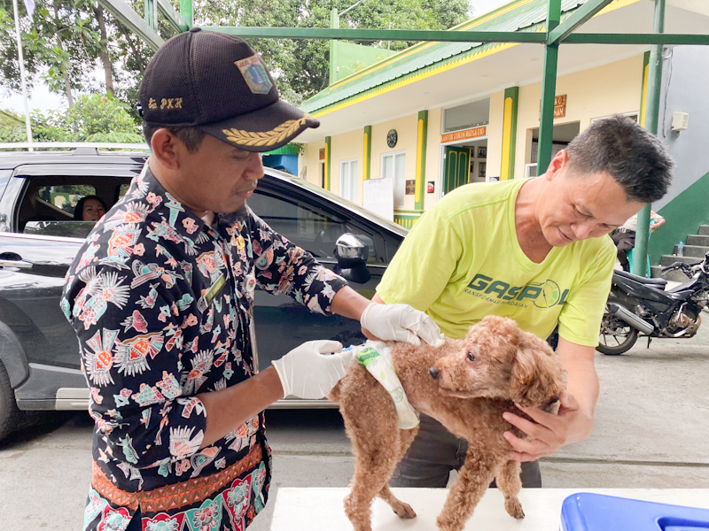 85 HPR Divaksin Rabies di Dua Lokasi Sunter Jaya