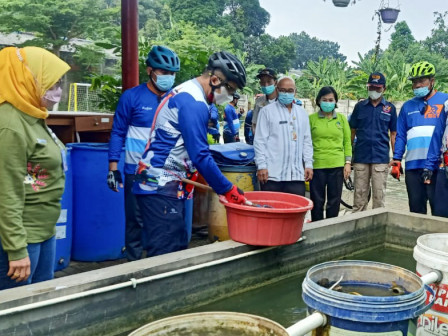 Wali Kota Jaktim Tebar Ikan dan Bercocok Tanam di RPTRA Payung Tunas Teratai 