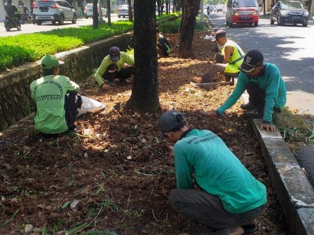 Jalur Hijau Jalan Puri Indah Kembangan Ditata Ulang