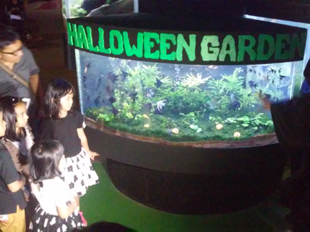 Taman Impian Jaya Ancol Hadirkan Biota Laut Untuk Rayakan Halloween