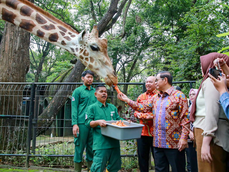 Pemprov DKI akan Revitalisasi Taman Margasatwa Ragunan