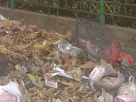 Sampah Menumpuk Di taman Martimbang 3 Karena Kekurangan Armada