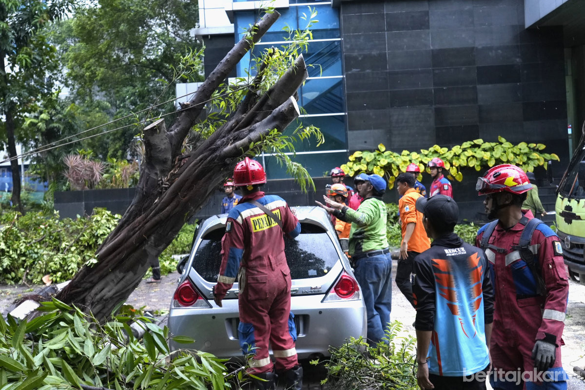 Pohon Tumbang di Gedung Balai Yos Jakarta Utara Cepat Ditangani 