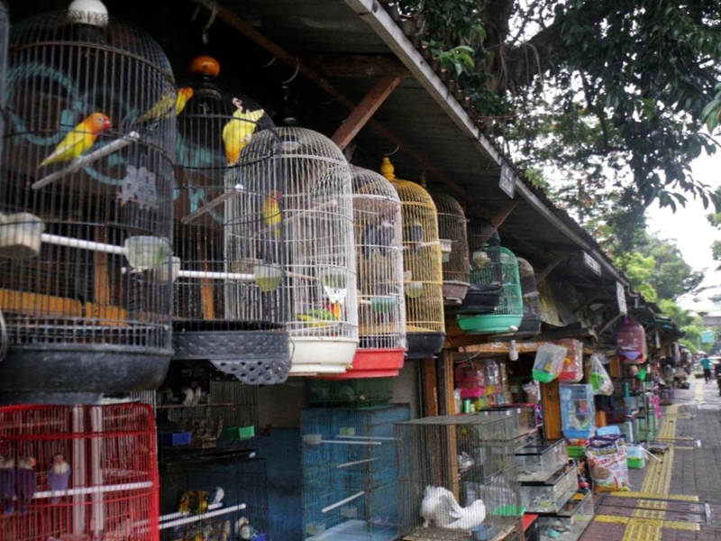 Relokasi Pedagang Pasar Barito untuk Pengembangan Kawasan Taman