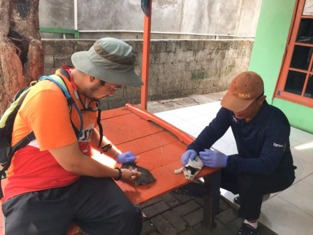 Sudin KPKP Kepulauan Seribu Vaksinasi 1.844 HPR di 2023 