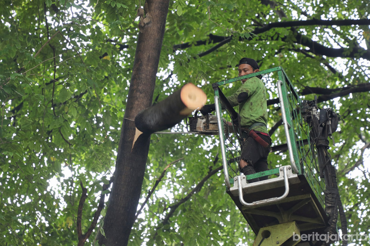 Pemprov DKI Sampaikan Belasungkawa, Imbau Warga Waspada Hadapi Musim Hujan 