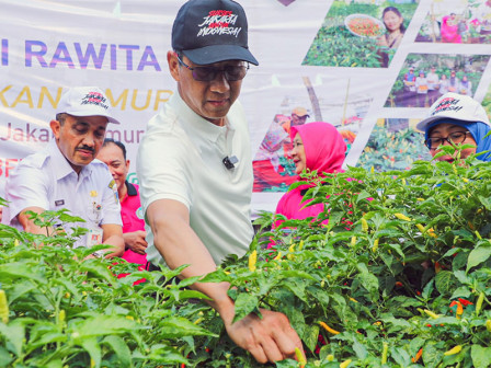 Pj. Gubernur Heru Bagikan Hasil Panen 3,5 Ton Cabai Rawit di Jakarta Timur kepada Warga