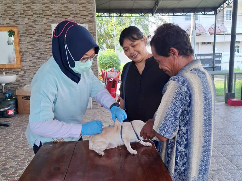  Sudin KPKP Jakbar Vaksinasi Rabies 113 HPR di Dua Kelurahan