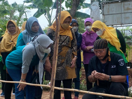 TP PKK Sunter Agung Adakan Pelatihan Budidaya Anggur dan Melon