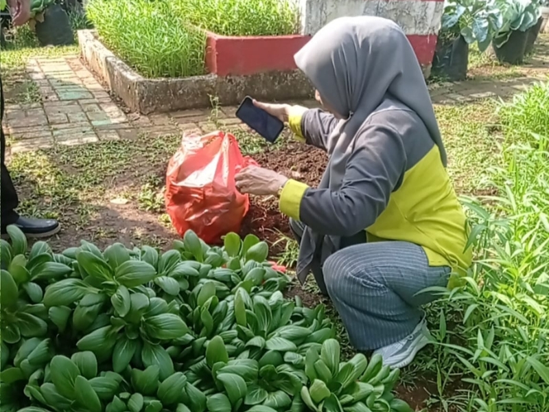 31 Kiloram Sayuran Berhasil Dipanen di Urban Farming Kelurahan Cibubur