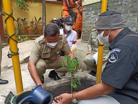 Walkot Jaksel Tanam Pohon Anggur di Halaman Kantor Kelurahan Pasar Minggu 