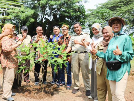 Kelurahan Rawajati Terus Hijaukan Area Susia Garden