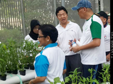 Pertanian Sayur Hidroponik di Kantor Dinas KPKP Panen