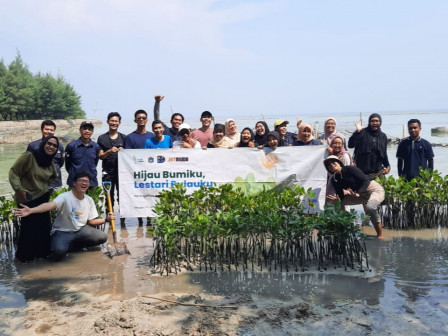 Lima Ribu Pohon Mangrove Ditanam di Pulau Tidung