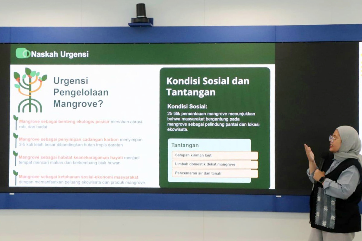 Dinas LH merumuskan Rancangan Pergub Pemanfaatan dan Pengendalian Kerusakan Ekosistem Mangrove