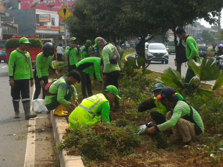 Sudin Pertamanan dan Hutan Kota Jakbar Percantik Jalur Hijau di Kembangan