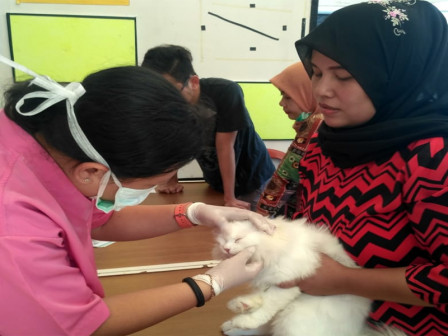        Sudin KPKP Jakpus Berikan Vaksin 885 Hewan Untuk Cegah Rabies