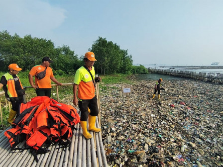 Petugas Gabungan Bersihkan Sampah di Hutan Mangrove Muara Angke