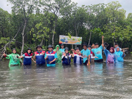  10.000 Bibit Mangrove Ditanam di Pulau Untung Jawa