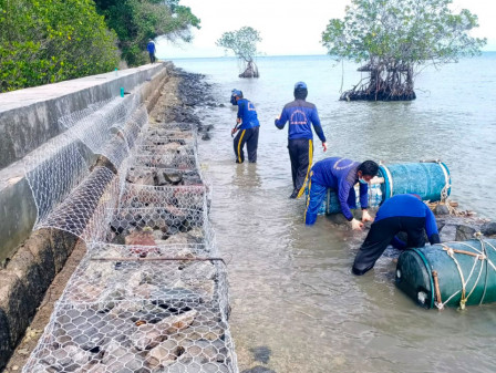 Petugas Lakukan Pemasangan Bronjong Tanggul Pantai Utara Pulau Sebira 