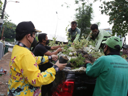 Sudin Pertamanan dan Hutan Kota Jakarta Barat Miliki Dua Kebun Bibit 